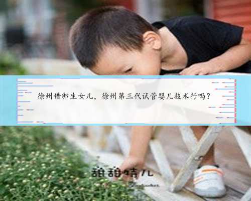 徐州借卵生女儿，徐州第三代试管婴儿技术行吗？