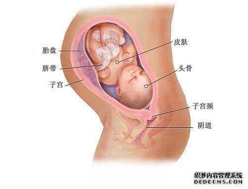 上海试管代孕交流群_上海供卵代孕生儿子_上海供卵试管有哪些机构