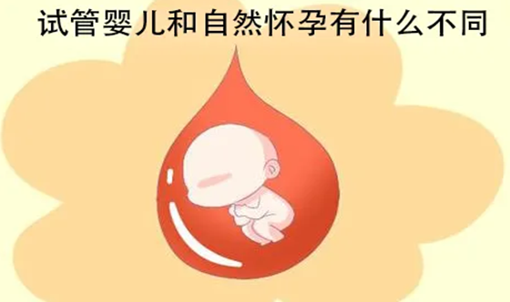 56岁失独想要孩子_北京大学深圳医院试管婴儿哪个医生最好？